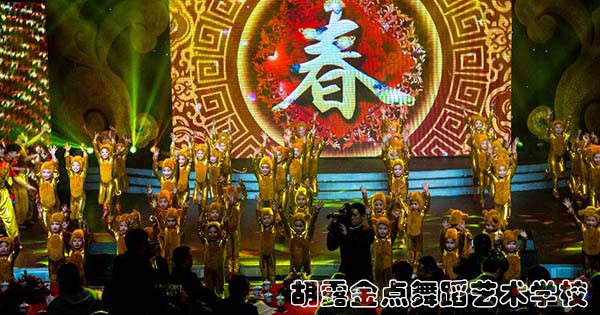 株洲胡露金点舞蹈艺术学校 (原露露舞蹈艺术学校)