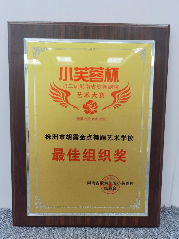 株洲市芦淞区胡露金点舞蹈艺术学校 （原露露舞蹈艺术学校）,株洲舞蹈学校，株洲舞蹈培训，少儿舞蹈培训学校